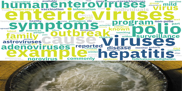 Thumbnail for Wastewater: Enteric Virus Quantification (GU)