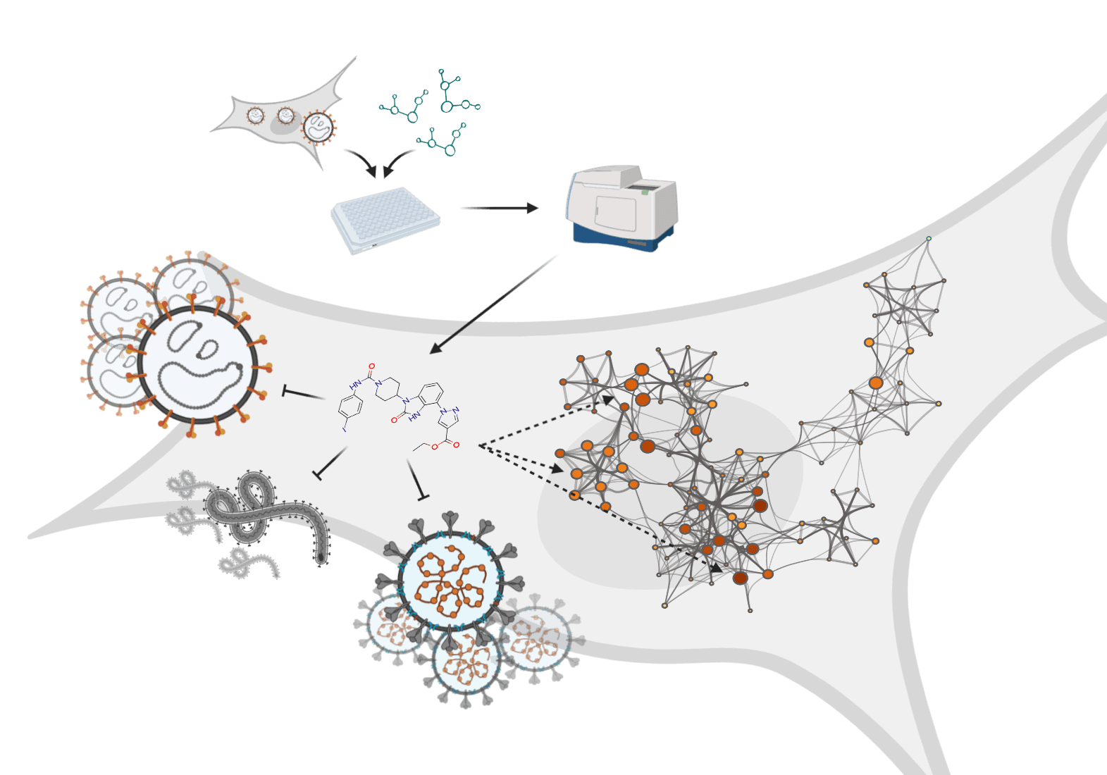 A novel approach to discover and characterize broad-spectrum antivirals