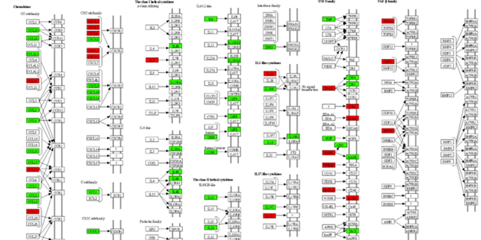 Proteomic profiling in COVID-19 patients as biomarkers to monitor disease severity