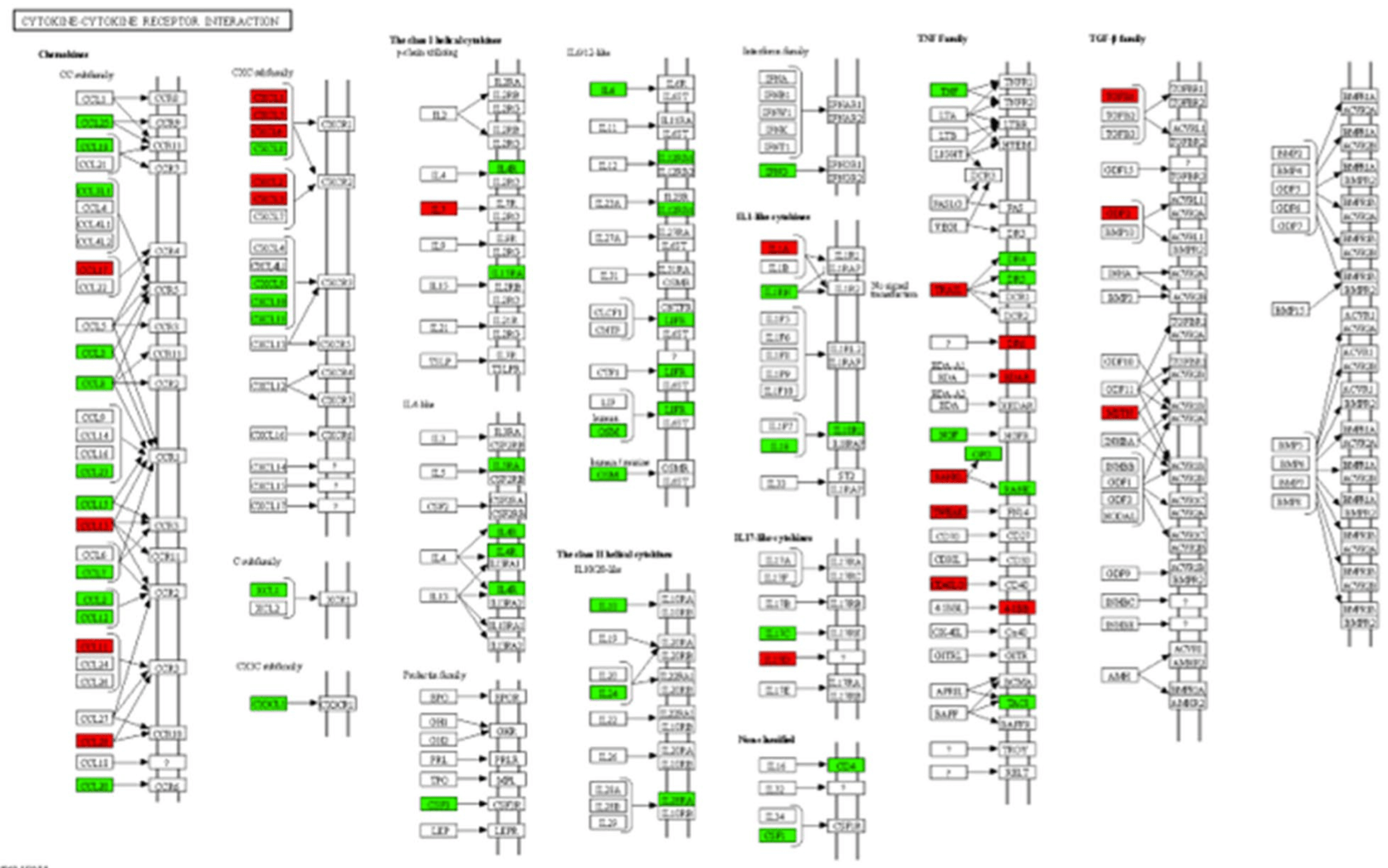 Proteomic profiling in COVID-19 patients as biomarkers to monitor disease severity