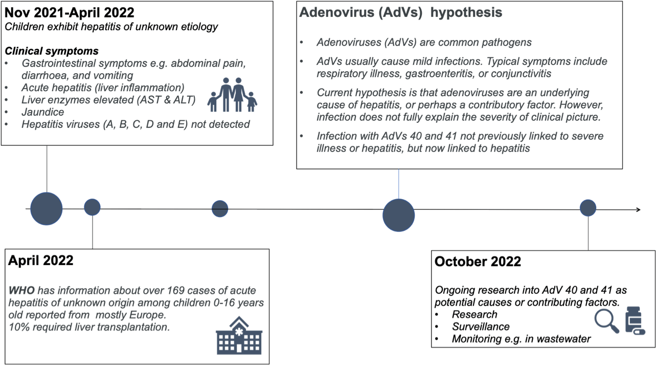 Image of Hepatitis outbreak timeline